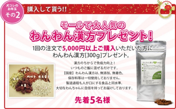 株式会社報徳情報技術が運営するオンラインショップ「犬コレモール」が、「ゆく年くる年」キャンペーンを12月26日からスタート。