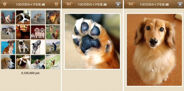 世界で一番たくさんの犬と猫の写真を見ることができる　マッシュアップ・アプリ『100万枚の犬写真』『100万枚の猫写真』　App Store164ヶ国、Google Play147ヶ国へ配信