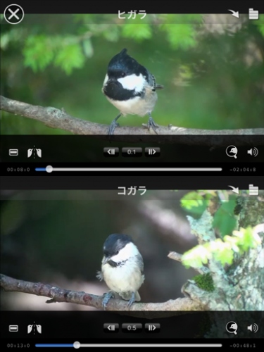 野鳥の美しさ・かわいさ・たくましさ満載！アウトドア派はもちろん、家族でも楽しめる無料アプリ「Smart Birding〜野鳥映像アーカイブス〜」をリリース。