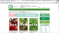 野菜を楽しく、上手に育てるための情報がつまった動画専門サイト「みのりラボチャンネル」を11月1日にオープン