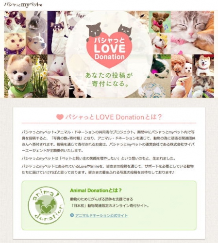 「パシャっとLOVE Donation ～あなたの投稿が寄付になる～」