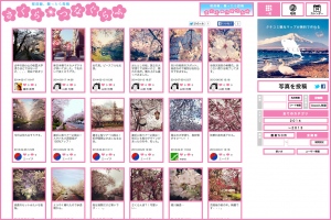 桜の写真を撮って投稿、みんなで全国の桜を楽しもう！桜の共有アルバム「さくら＊つなぐらふ」をリリース