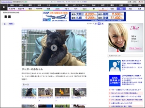 読売新聞のニュースサイト『YOMIURI ONLINE』、動画配信プラットフォーム『J-Stream MediaLize』を採用