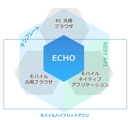 ウェブサイトとモバイルハイブリッドアプリのシームレス化を実現！統合ウェブプラットフォームシステム「ECHO」を正式リリース