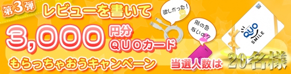 お手軽“ひとことレビュー“でQUOカード3,000円券をプレゼントオウルテック、レビューキャンペーン第3弾を実施