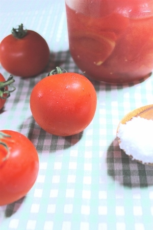 ～ 8月31日は野菜の日～ 10～60代 好きな野菜ランキング、1位は「トマト」 かけトマ・塩トマト・トマトかき氷など、新しい食べ方も