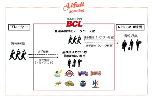 スポーツマッチングサービス「Lifull Scouting」、プロ野球の独立リーグ「ルートインBCリーグ」に公式導入