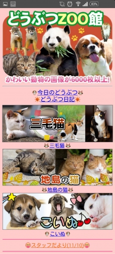 20匹の“可愛らしい子”厳選「三毛猫特集」！　約400種類の動物を図鑑形式で楽しめる「どうぶつZOO館」にて開始