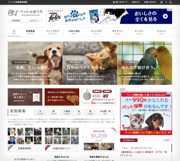 ペットの里親募集サイト「ペットのおうち」、里親を見つけたペットが累計5万頭（匹）を超える。