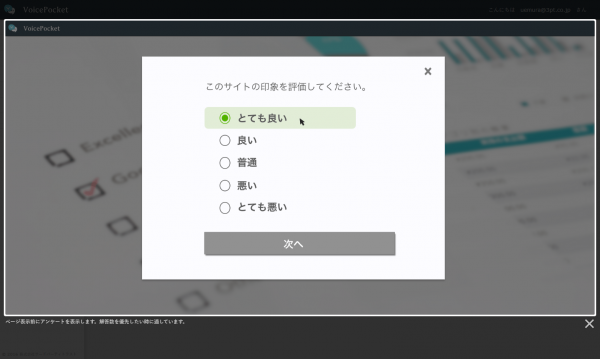 “ユーザーの声”を定常収集　サイト内組込み型アンケートツール提供開始　～日々のトラフィックの価値を最大化する『VoicePocket』～