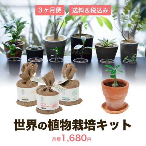 植物写真共有サービス「GreenSnap」のオンラインショップ「GreenSnapSTORE」を開設