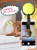 【上海問屋限定販売】犬の笑顔を撮りたい時の最強グッズ　こっち向いてワン　販売開始