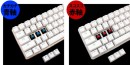 【上海問屋限定販売】美と機能を併せ持つキーボード　コンパクト！省スペース！光る！　赤軸/青軸　光るUSBコンパクトキーボード　販売開始