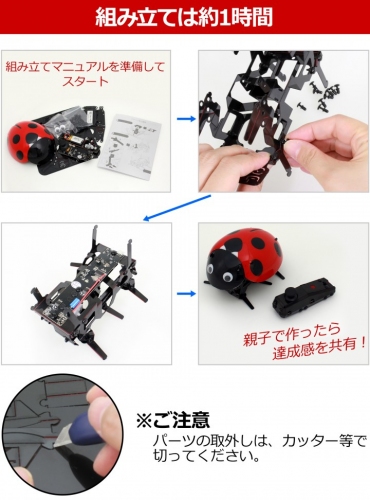 【上海問屋限定販売】予想外の動きがカワイイてんとう虫型ラジコン　本体とリモコン両方自作　動きユニーク てんとう虫ラジコン組立キット　販売開始