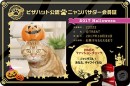 あなたの猫のハロウィン限定ニャンバサダー デジタル会員証