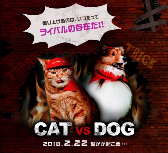 ～犬派の皆様、お待たせしました！～１１月１日（わんわんわんの日）に「ピザドッグ！店」グランドオープン