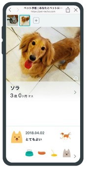 LINEで動物病院と飼い主を結ぶプラットフォームサービス「ペット手帳」が2019年度グッドデザイン賞を受賞！