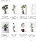 ビザスク株式会社が東証マザーズ上場にあたり、祝花おまとめサービス「Flower Desk」を利用