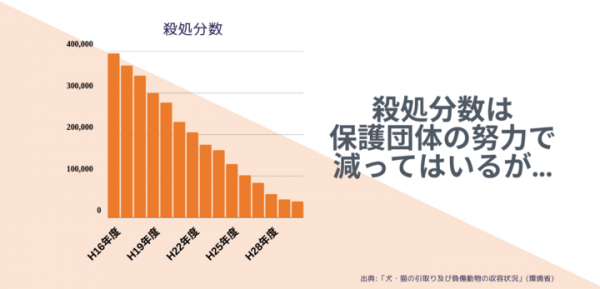 新サービス：犬猫の殺処分ゼロを目指す代行型クラウドファンディング「Happpy」を2020年9月7日に提供開始。