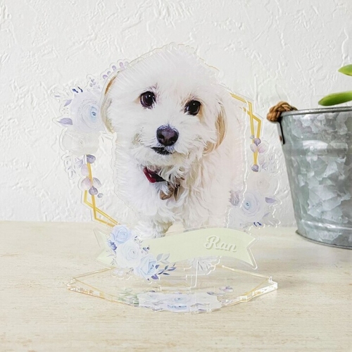 “ペットの写真で作るアクリルフィギュア「Pic-Do!（ピクドゥ）for Pets」”が、ペットとの思い出をかたちにするカテゴリー「メモリアル」提供開始