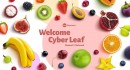 CBNリキッドの通販 / 販売を開始｜Cyber Leaf