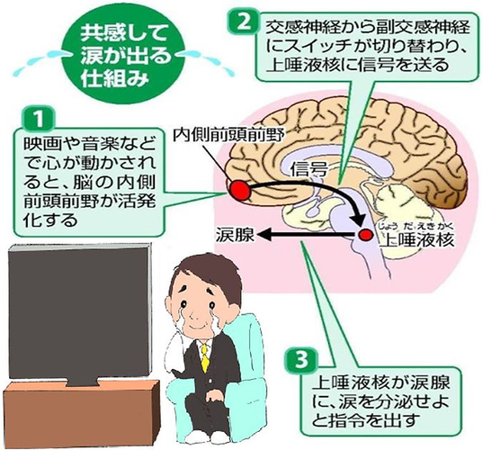 泣くことでストレスや感情のデトックスを促す「なみだ先生」こと“感涙療法士”の吉田英史が12月1日（木）、映画好きの人たちを対象に「涙活」イベントを実施！