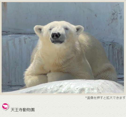 あべの・天王寺エリアのおすすめスポットやお役立ち情報を掲載した街歩きをサポートするwebマップ「みどころたくさん！あべの天王寺マップ」が完成