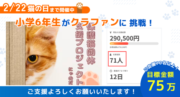 【小6あいさんの挑戦】保護猫活動を継続的に支援するためのクラウドファンディング　2/22"猫の日"まで支援募集中