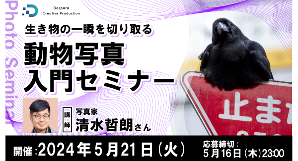 【ドスパラ】生き物の一瞬を切り取る写真家 清水哲朗氏から学ぶ　『動物写真入門セミナー』　5月21日（火）20時より開催　参加者募集中