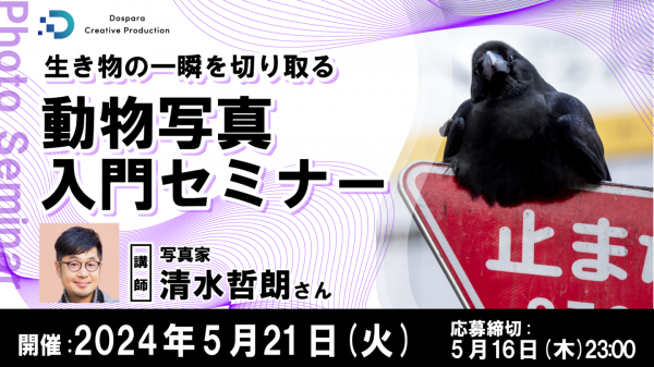 【ドスパラ】生き物の一瞬を切り取る写真家 清水哲朗氏から学ぶ　『動物写真入門セミナー』　5月21日（火）20時より開催　参加者募集中