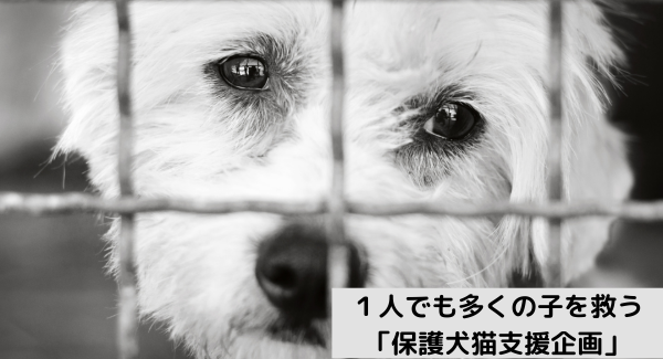 保護犬猫施設への寄付にもつながる！SDGs対応次世代もの作りサービス「fabme（ファブミー）」が、新商品「フリーズドライおやつ」を8月5日に取り扱い開始