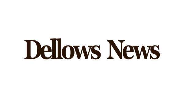 総合ニュースサイト「Dellows News」、サイト構築が完了し9月3日正式リリース