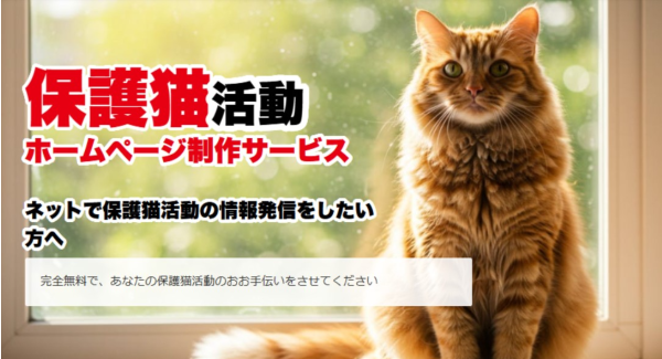 保護猫活動のを支援するホームページ制作サービスを開始