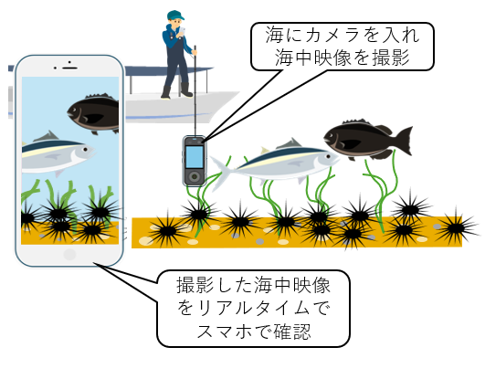 ガンガゼの生息域ヒートマップおよび藻場の生育状況確認の実証実験に成功