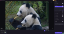 HitPaw FotorPea Ver.4.6.0 アップデート公開！創作体験がさらに進化