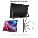 JAPANNEXTが13.3