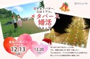 兵庫県三田市とメタバース空間の婚活支援サービス『Mitsu-VA(ミツバ)』、「メタバース婚活inさんだ」を開催