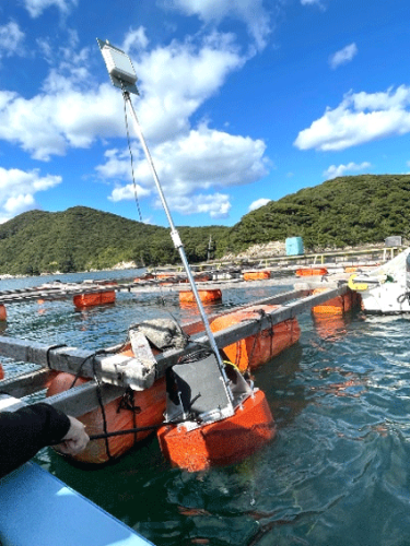 「Wi-Fi HaLow」などを活用した漁場モニタリングに関する実証実験に成功