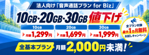音声通話プラン for Biz